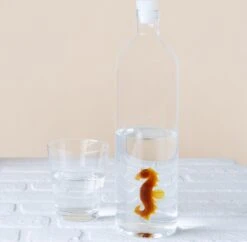 Balvi Waterfles - Zeepaard -Bestek Verkoop 1200x1178