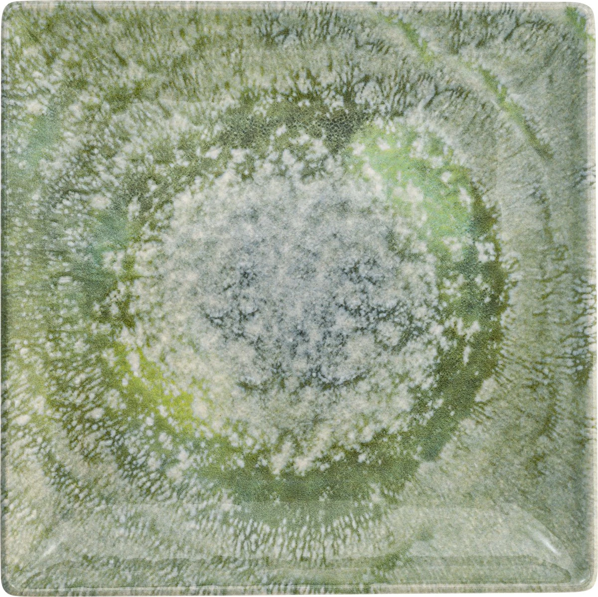 Lite-Body Hermes Gebaksbordjes - Set Van 8 Stuks - Ø16 Cm - Groen Reliëf 7 Lite-Body Hermes Gebaksbordjes - Set Van 8 Stuks - Ø16 Cm - Groen Reliëf - Afbeelding 5