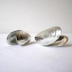 Het Zeeuws Mosselbestek -Bestek Verkoop 1200x1200 839