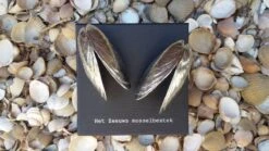 Het Zeeuws Mosselbestek -Bestek Verkoop 1200x675 10