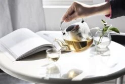 Viva Scandinavia Bjorn Theepot - Glas - Met Filter - 1,2 L - Transparant 20 Viva Scandinavia Bjorn Theepot - Glas - Met Filter - 1,2 L - Transparant -Bestek Verkoop 1200x807 2